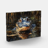 Niedlicher Alligator in der Florida Everglades Mal Fotoblock (Links)