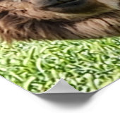 Niedlicher Alpaca-Haarschnitt Poster (Ecke)