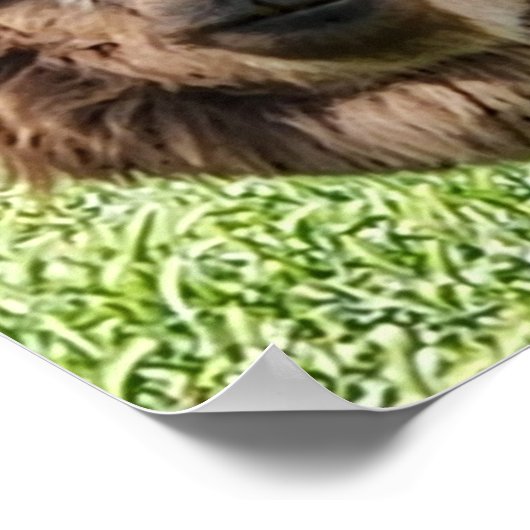 Niedlicher Alpaca-Haarschnitt Poster (Ecke)