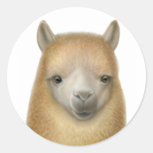 Niedlicher Alpaca-Sticker Runder Aufkleber