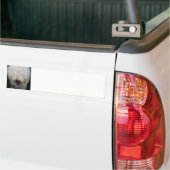 Niedlicher alter englischer autoaufkleber (Auf Lkw)