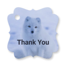 Niedlicher arktischer Fox auf Schnee Danke