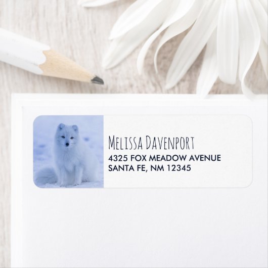 Niedlicher arktischer Fox im Hintergrund des schne (Insitu)