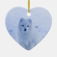 Niedlicher arktischer Fox im Hintergrund des schne