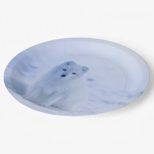 Niedlicher arktischer Fox im Hintergrund des schne Pappteller (Schrägansicht)