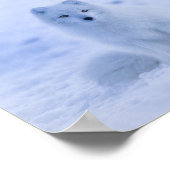 Niedlicher arktischer Fox im Hintergrund des schne Poster (Ecke)