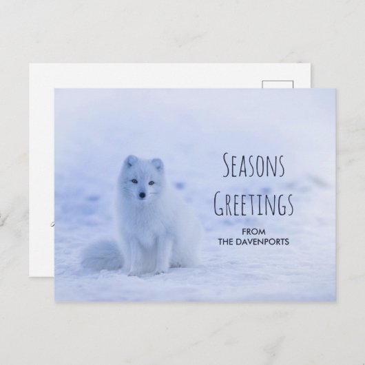 Niedlicher arktischer Fox im Hintergrund des schne Postkarte (Vorne/Hinten)
