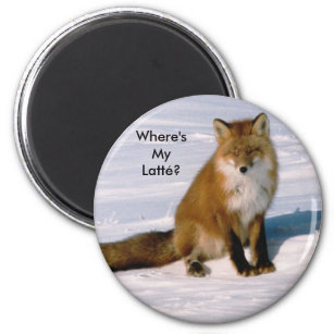 Niedlicher arktischer Red Fox Latte Kühlschrankmag Magnet
