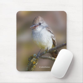 Niedlicher ash-gethroter Flycatcher-Songbird am Zw Mousepad