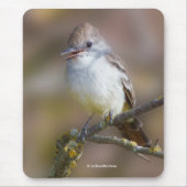 Niedlicher ash-gethroter Flycatcher-Songbird am Zw Mousepad (Vorne)