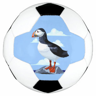 Niedlicher Atlantik Fußball
