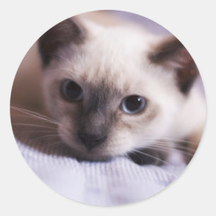 Niedlicher Aufkleber