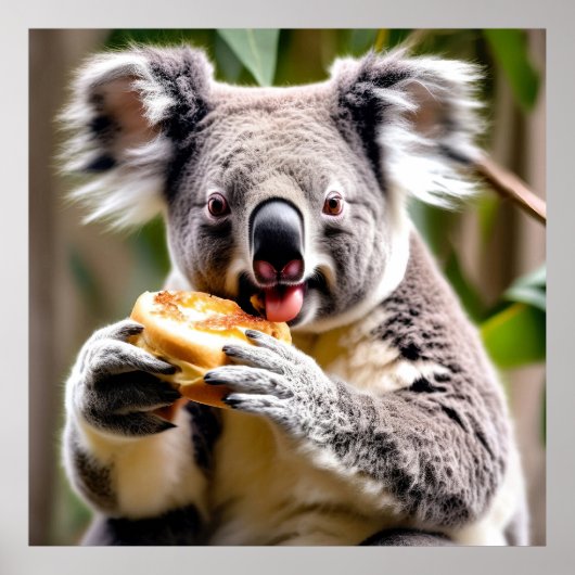 Niedlicher australischer Koala, der einen Fleischp Poster (Vorne)