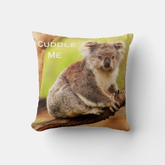 Niedlicher australischer Koala in einem Eukalyptus Kissen