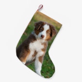 Niedlicher australischer Schäfer-Hundewelpe - Kleiner Weihnachtsstrumpf (Vorderansicht (hängend))