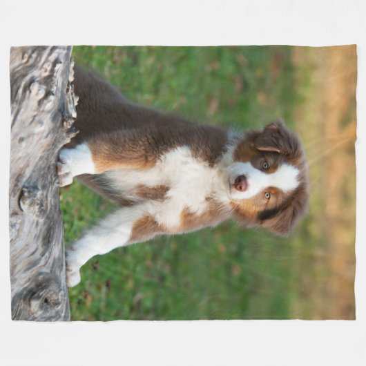 Niedlicher australischer Schäfer-Welpe, bequem Fleecedecke (Vorderseite (Horizontal))