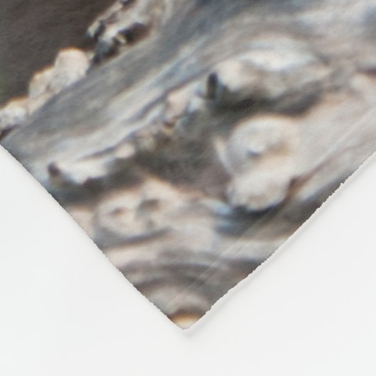 Niedlicher australischer Schäfer-Welpe, bequem Fleecedecke (Ecke)