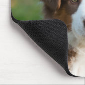 Niedlicher australischer Schäferwelpe Mousepad (Ecke)