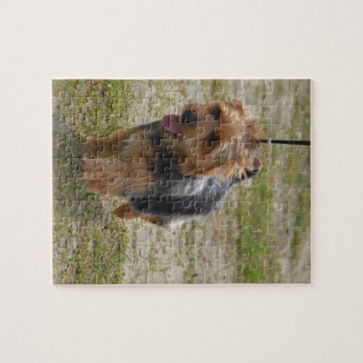 Niedlicher australischer Terrier Puzzle (Horizontal)