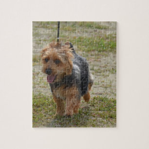 Niedlicher australischer Terrier Puzzle
