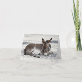 Niedlicher Baby Donkey im Schnee Weihnachten Karte