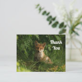 Niedlicher Baby Fox in einem grünen Wald Danke Postkarte (Stehend Vorderseite)