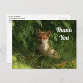 Niedlicher Baby Fox in einem grünen Wald Danke Postkarte (Vorne/Hinten)