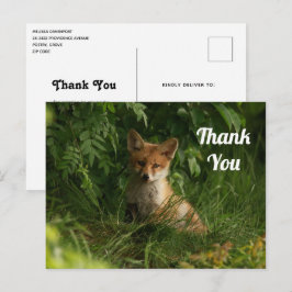Niedlicher Baby Fox in einem grünen Wald Danke Postkarte