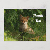 Niedlicher Baby Fox in einem grünen Wald Danke Postkarte (Vorderseite)