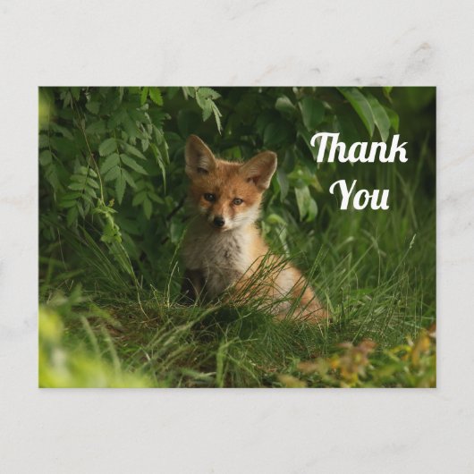 Niedlicher Baby Fox in einem grünen Wald Danke Postkarte (Vorderseite)