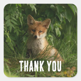Niedlicher Baby Fox in einem grünen Wald Danke Quadratischer Aufkleber