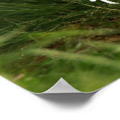 Niedlicher Baby Fox in einem grünen Wald Poster (Ecke)