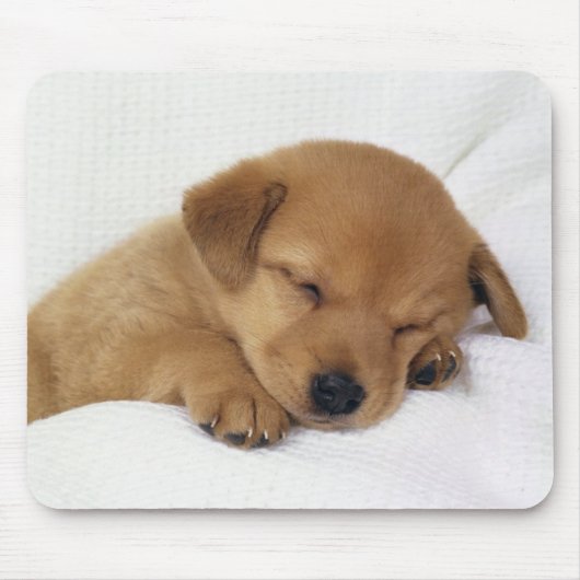 Niedlicher Baby-Hund Mousepad (Vorne)