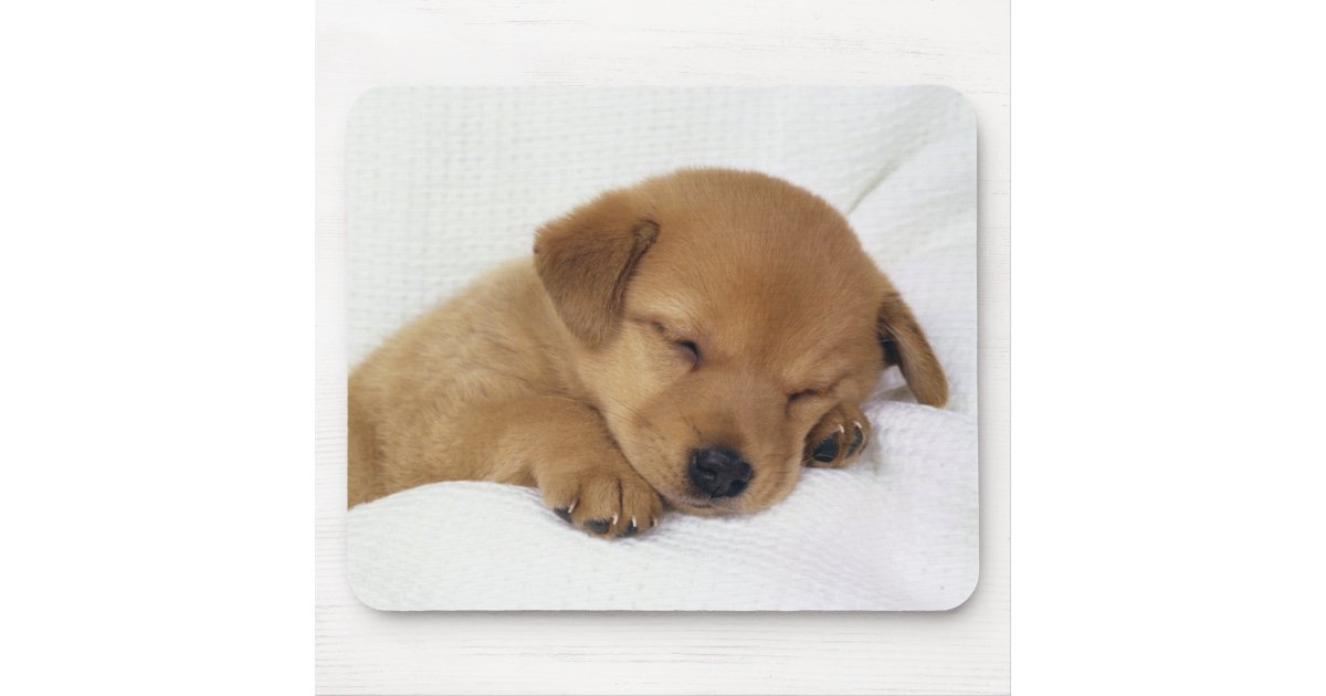 Cute Baby Dog Mousepad Zazzle