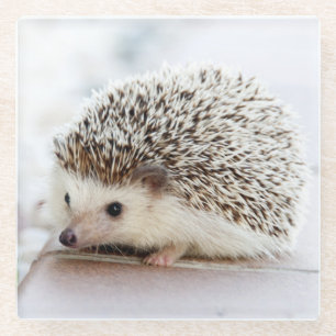Niedlicher Baby-Igel Glasuntersetzer