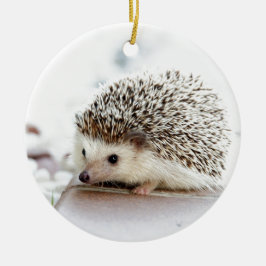 Niedlicher Baby-Igel Keramikornament