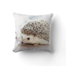 Niedlicher Baby-Igel