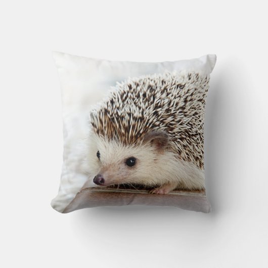 Niedlicher Baby-Igel Kissen (Vorderseite)