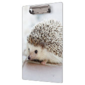 Niedlicher Baby-Igel Klemmbrett (Links)