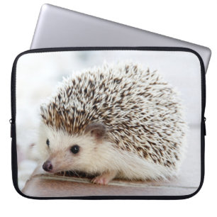 Niedlicher Baby-Igel Laptopschutzhülle
