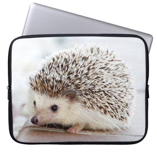 Niedlicher Baby-Igel Laptopschutzhülle (Vorderseite)