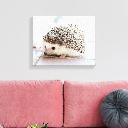Niedlicher Baby-Igel Leinwanddruck (Insitu (Wohnzimmer))