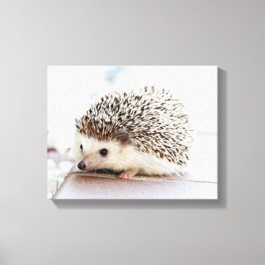 Niedlicher Baby-Igel Leinwanddruck (Vorderseite)