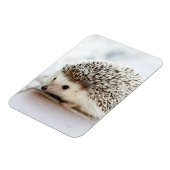 Niedlicher Baby-Igel Magnet (Linke Seite)