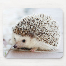 Niedlicher Baby-Igel Mousepad