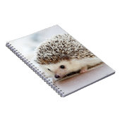 Niedlicher Baby-Igel Notizblock (Rechte Seite)