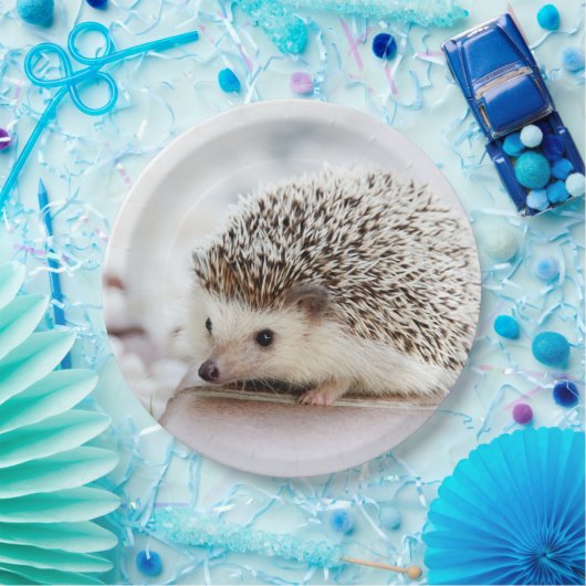 Niedlicher Baby-Igel Pappteller (Party)