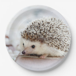 Niedlicher Baby-Igel Pappteller