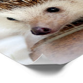 Niedlicher Baby-Igel Poster (Ecke)