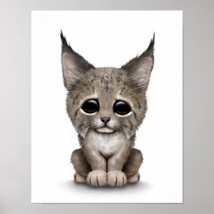 Niedlicher Baby-Luchs CUB auf Weiß Poster